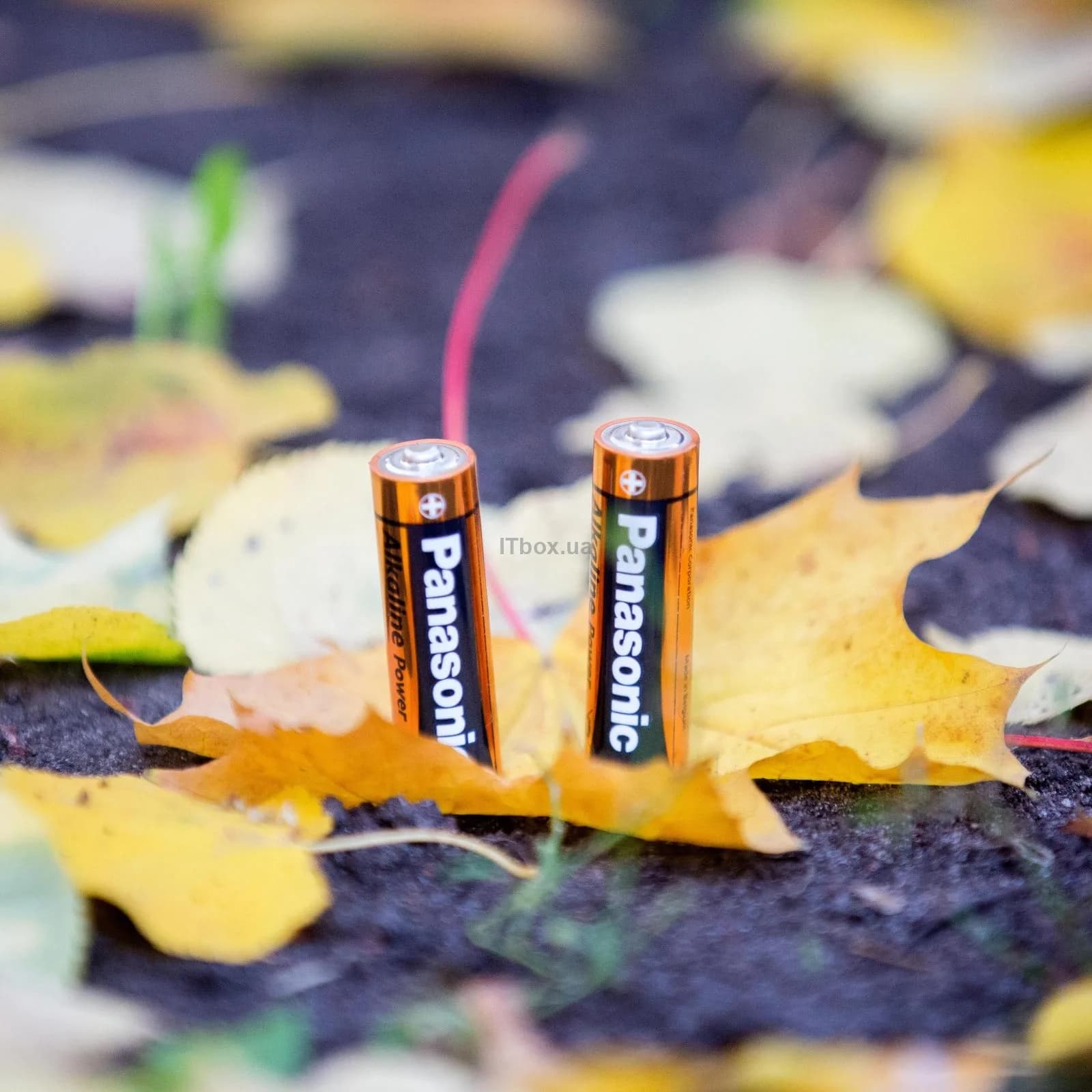Батарейка Panasonic Alkaline Power AA LR6REB/2BP фото 3