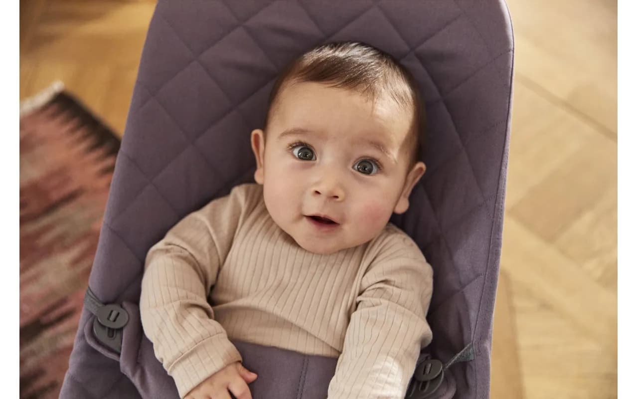 Шезлонг BabyBjorn Bouncer Bliss 0341 Dark Purple фото 3 Шезлонг BabyBjorn Bouncer Bliss 0341 Dark Purple фото 3