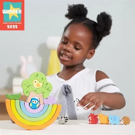 Іграшка розвиваюча Viga Toys Балансуючі блоки 44590 фото 8 Іграшка розвиваюча Viga Toys Балансуючі блоки 44590 фото 8