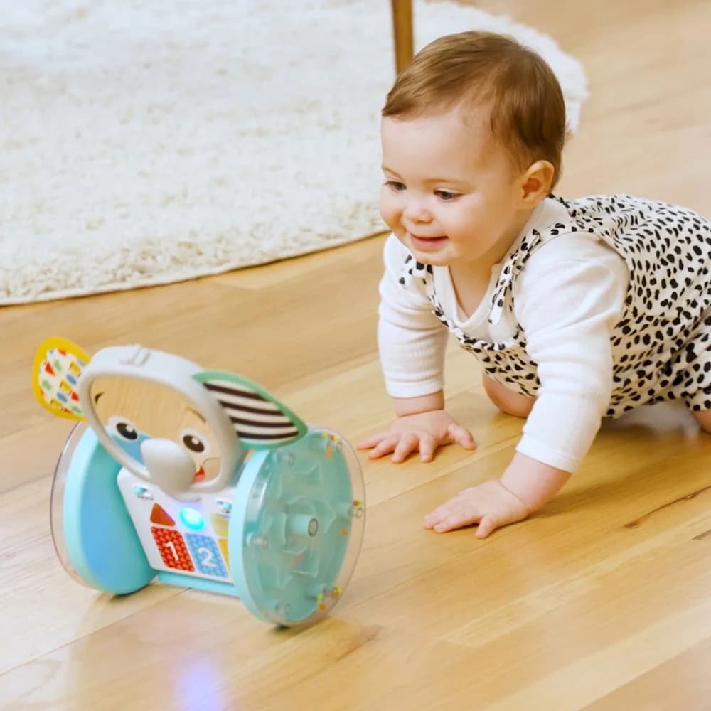Іграшка музична Baby Einstein Chase & Tap Earl 16923 фото 8
