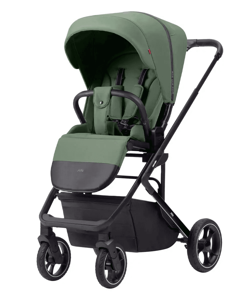 Коляска прогулочная Carrello Alfa 2024 CRL-5508 Sea Green BF