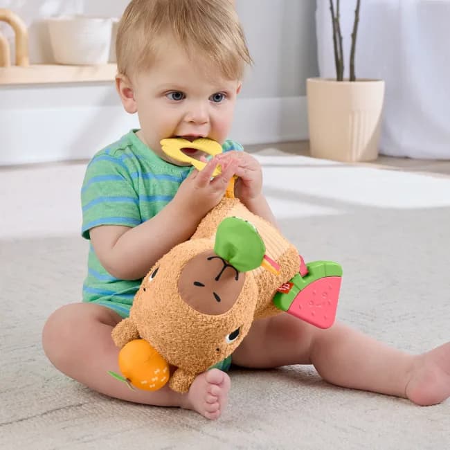 Іграшка м'яка Fisher-price Капібара HYR54 фото 4