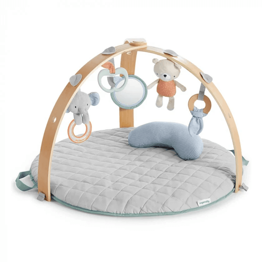 Килимок з дугами Ingenuity Cozy Spot 12126