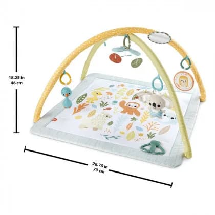 Коврик игровой с дугами Fisher-price Первые прикосновения ребенка HRB15 фото 2