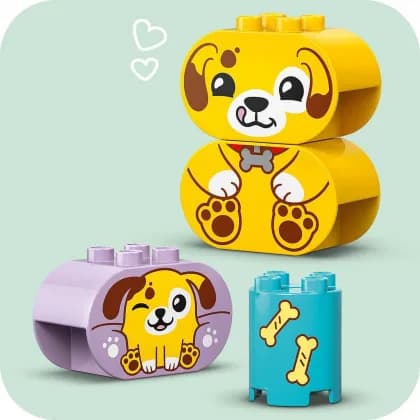 Конструктор Lego Duplo Сортер: будинок для цуценят 17дет 10441 фото 7 Конструктор Lego Duplo Сортер: будинок для цуценят 17дет 10441 фото 7