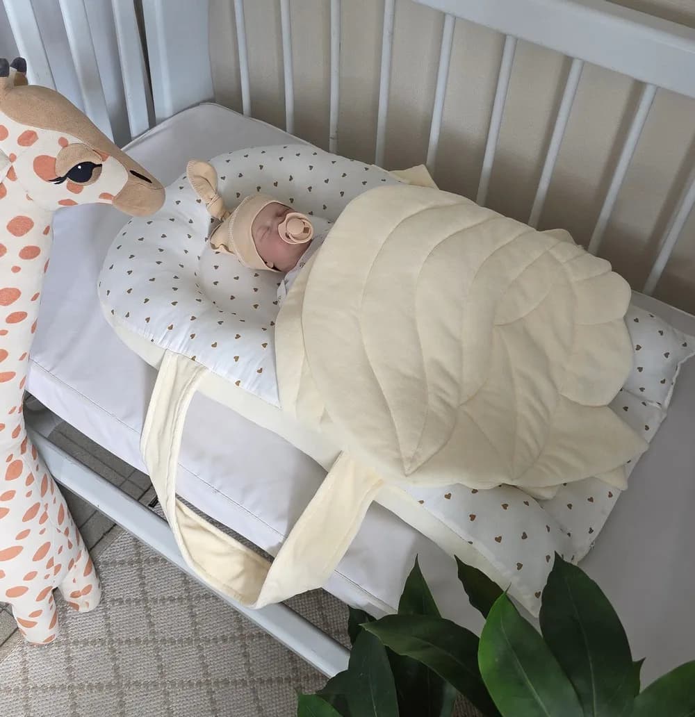 Кокон Chickabiddy з крилами двосторонній CH-KHVR-S фото 3 Кокон Chickabiddy з крилами двосторонній CH-KHVR-S фото 3