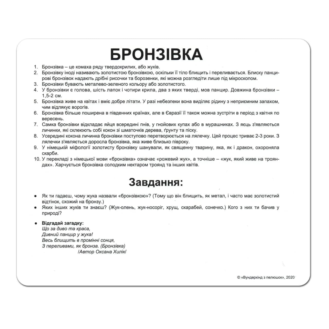 Комплект карток Комахи (укр) фото 3