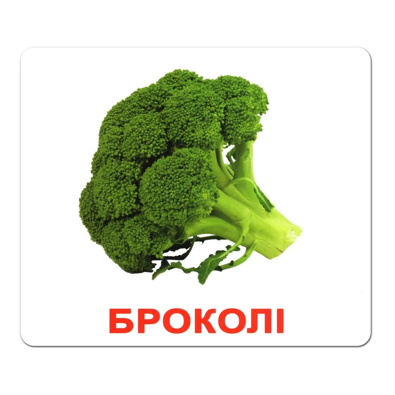 Комплект карточек Вундеркинд Овощи 95290 фото 5 Комплект карточек Вундеркинд Овощи 95290 фото 5