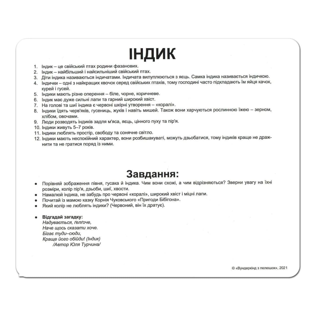 Комплект карточек Вундеркинд Домашние животные 95184 фото 6 Комплект карточек Вундеркинд Домашние животные 95184 фото 6