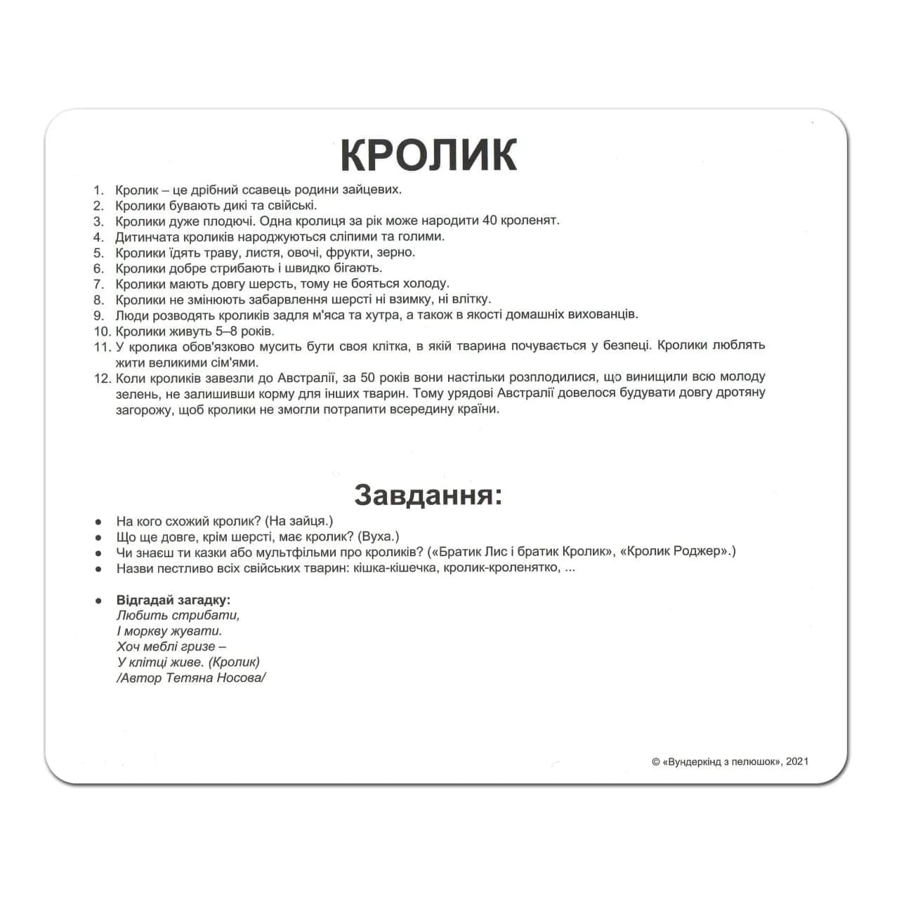 Комплект карточек Вундеркинд Домашние животные 95184 фото 2 Комплект карточек Вундеркинд Домашние животные 95184 фото 2