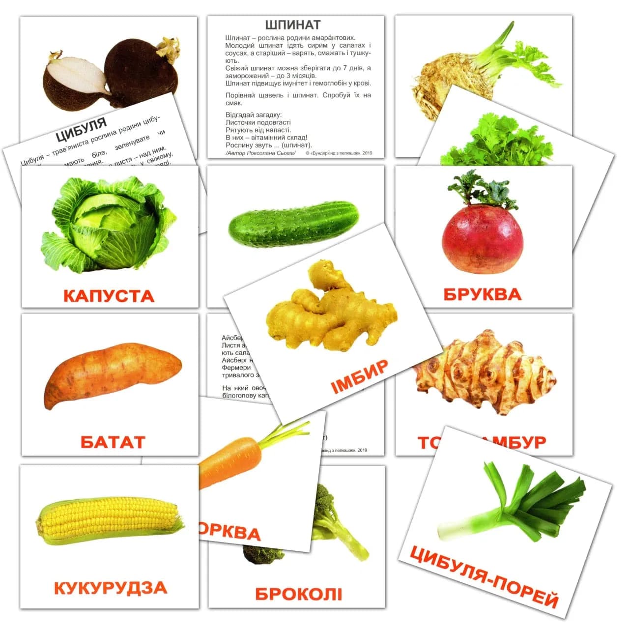 Комплект карточек Вундеркинд Овощи с фактами 96631 фото 4 Комплект карточек Вундеркинд Овощи с фактами 96631 фото 4
