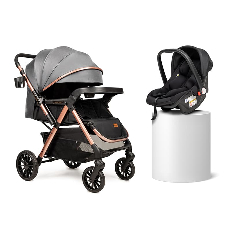 Коляска прогулочная + автокресло Ninos Maxi 2 Grey Gold NM2025CSGG