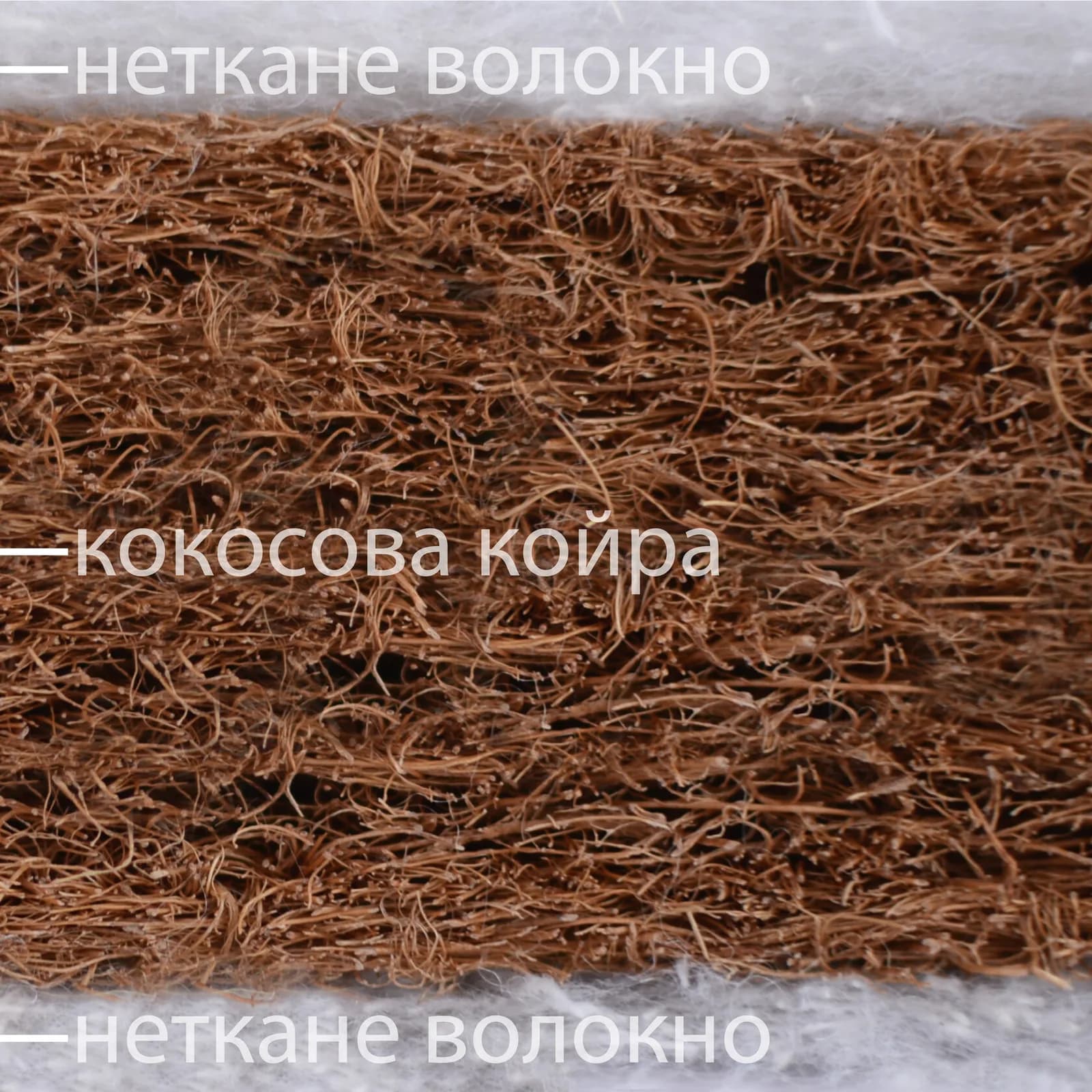 Матрац Верес Coconut 90x70x7 см 51.9.03 фото 2