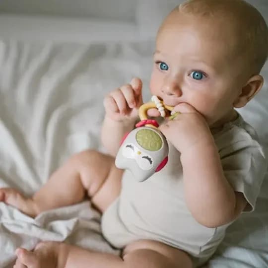 Погремушка BabyOno Совушка 1588 фото 5 Погремушка BabyOno Совушка 1588 фото 5