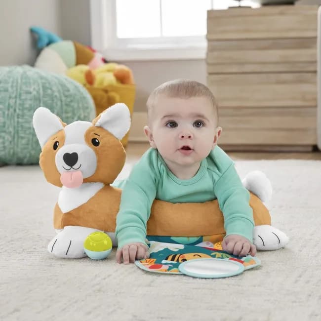 Игрушка развивающая Fisher-price Щенок HJW10 фото 7 Игрушка развивающая Fisher-price Щенок HJW10 фото 7