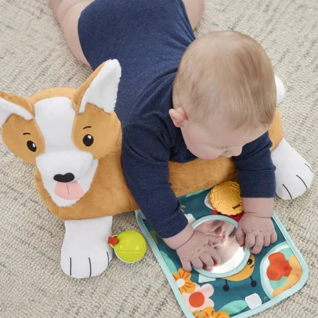 Игрушка развивающая Fisher-price Щенок HJW10 фото 9 Игрушка развивающая Fisher-price Щенок HJW10 фото 9