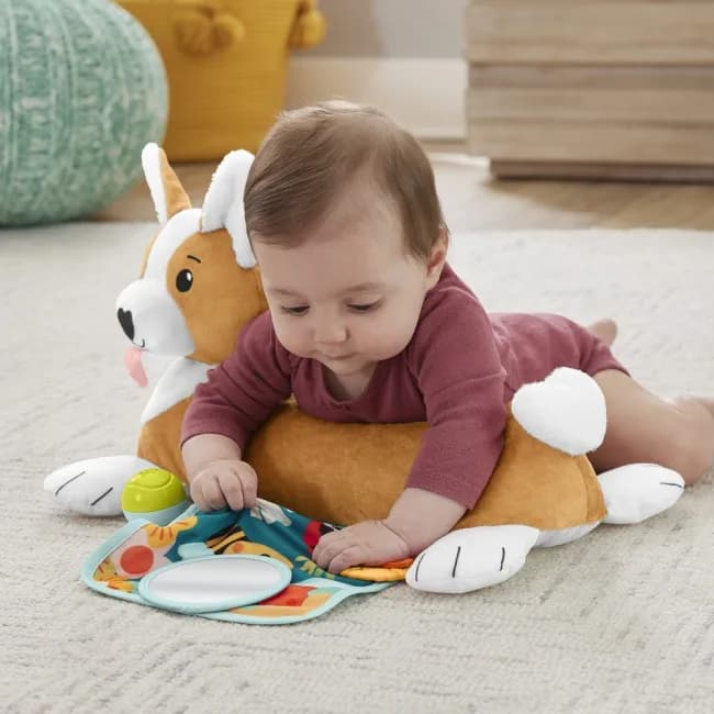 Игрушка развивающая Fisher-price Щенок HJW10 фото 10 Игрушка развивающая Fisher-price Щенок HJW10 фото 10