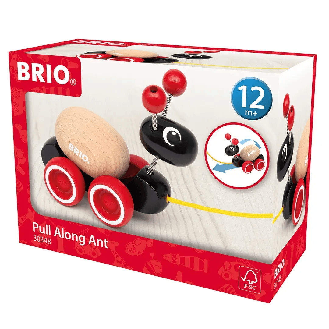 Каталка для малюків BRIO Мурашка 30348