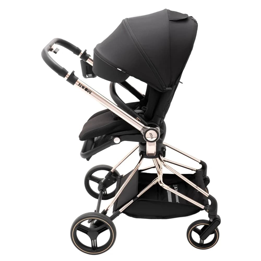 Коляска универсальная 2в1 Bair Moon Gold Edition MG-01 680930 фото 3 Коляска универсальная 2в1 Bair Moon Gold Edition MG-01 680930 фото 3