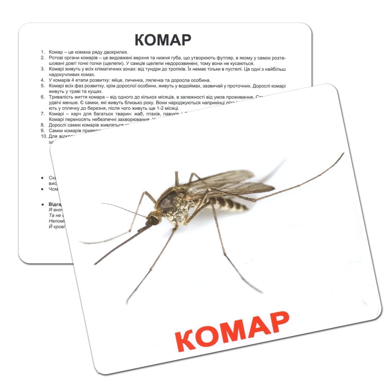 Комплект карток Комахи (укр)