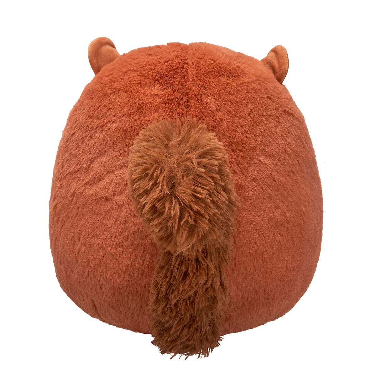 Іграшка м'яка Squishmallows Білка Соєр 30см SQCR06757 фото 5 Іграшка м'яка Squishmallows Білка Соєр 30см SQCR06757 фото 5