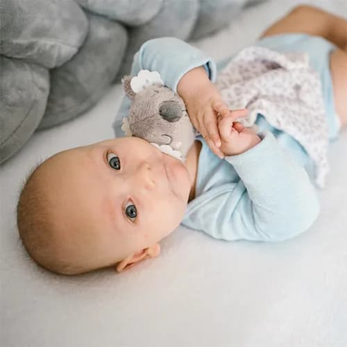 Обіймашка BabyOno Коала Коко 1635 фото 6 Обіймашка BabyOno Коала Коко 1635 фото 6
