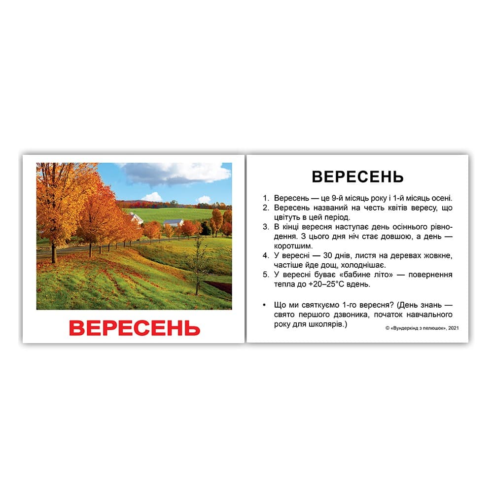 Комплект карток Вундеркінд Час та сезони з фактами 14212