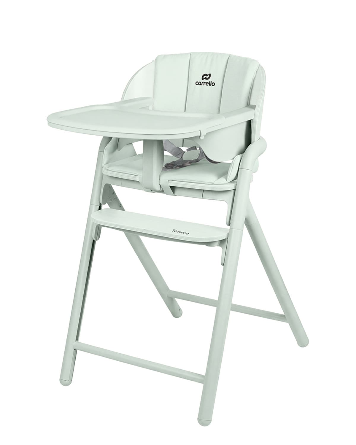 Стульчик для кормления Carrello Tenero CRL-9507 Elysium Green Стульчик для кормления Carrello Tenero CRL-9507 Elysium Green