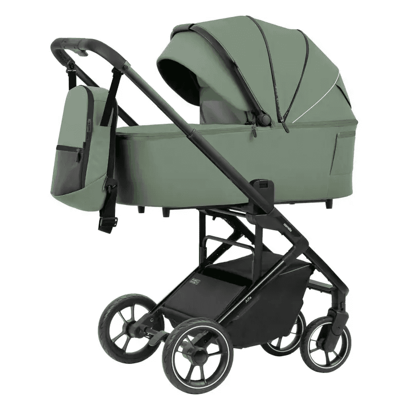 Коляска универсальная 2в1 Carrello Alfa+ CRL-6507 Sea Green Коляска универсальная 2в1 Carrello Alfa+ CRL-6507 Sea Green