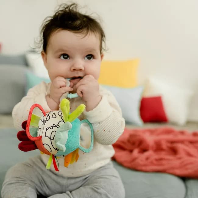 Подвеска развивающая Fehn Мяч DoBabyDoo 530 фото 4 Подвеска развивающая Fehn Мяч DoBabyDoo 530 фото 4