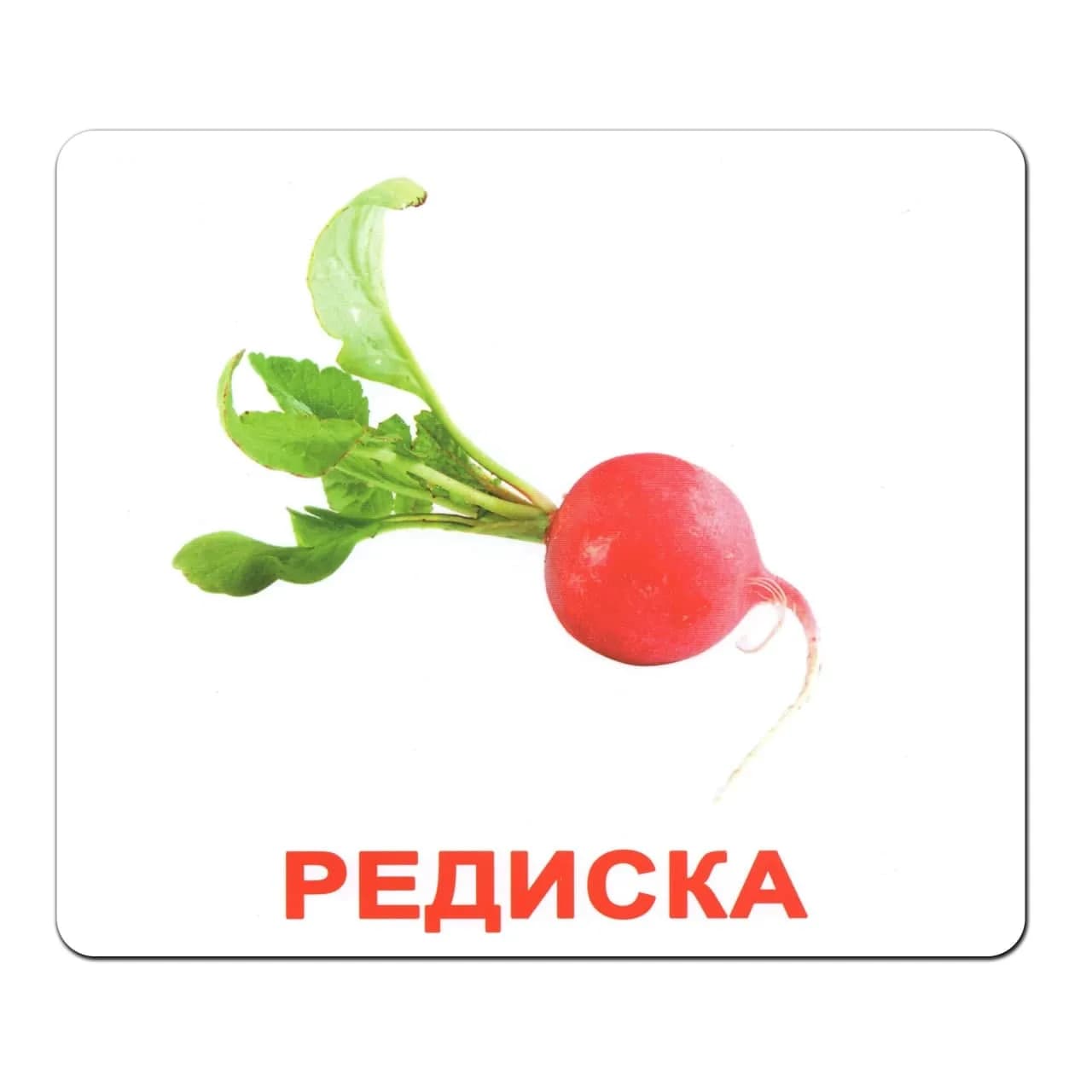 Комплект карточек Вундеркинд Овощи 95290 фото 3 Комплект карточек Вундеркинд Овощи 95290 фото 3