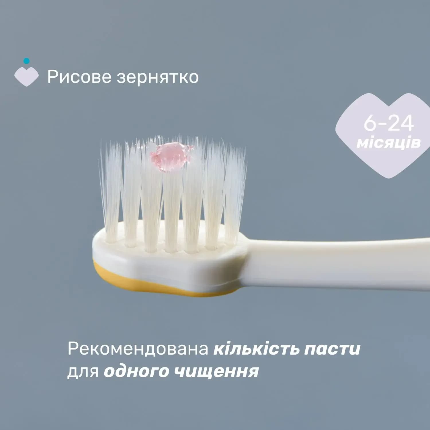 Щітки зубні Chicco 6-36м 2шт 12082.11 фото 5 Щітки зубні Chicco 6-36м 2шт 12082.11 фото 5