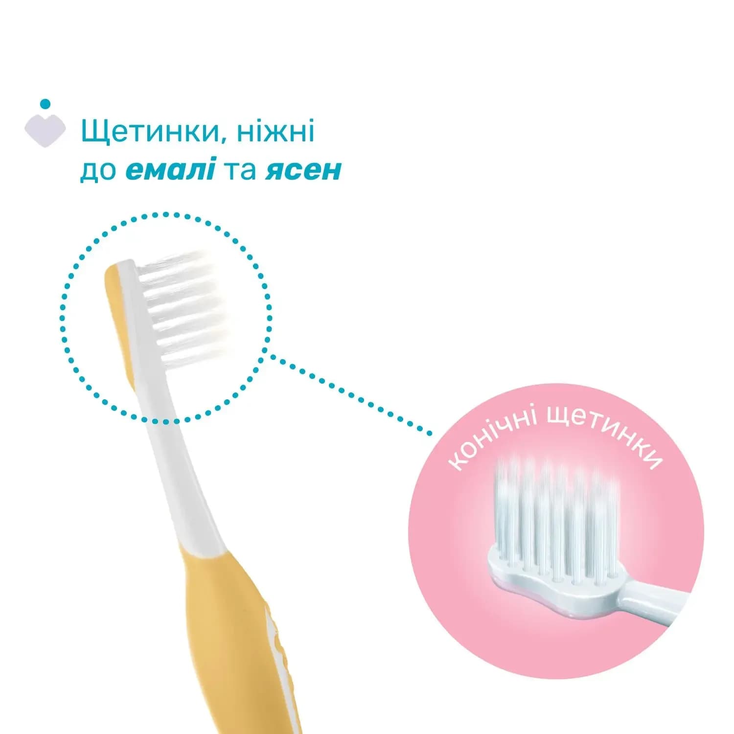 Щітки зубні Chicco 6-36м 2шт 12082.11 фото 7 Щітки зубні Chicco 6-36м 2шт 12082.11 фото 7