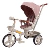 Велосипед 3-х колісний Tilly Flash T-3812 Pink