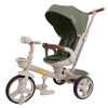 Велосипед 3-х колісний Tilly Flash T-3812 Green