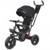 Велосипед 3-х колісний Tilly Spirit T-3811 Black