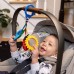 Підвіска Baby Einstein Touch of Nature 16886 фото 5