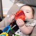 Підвіска Baby Einstein Touch of Nature 16886 фото 7