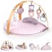 Килимок з дугами Ingenuity Cozy Spot Calla 12421