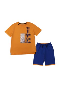 Комплект (футболка+шорты) 92-128 Фламинго 868-417-Коричневый/синий