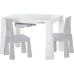 Комплект стіл+2 стільця FreeON Neo White-Grey 46620
