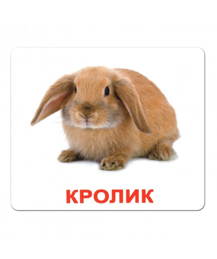 Комплект карток Вундеркінд Домашні тварини 95184