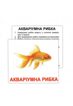 Комплект карток Вундеркінд Домашні тварини з фактами 96679