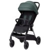 Коляска прогулянкова Carrello Delta CRL-5517 Jungle Green