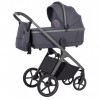 Коляска універсальна 2в1 Carrello Vector CRL-6550 Landscape Grey