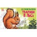 Розмальовка з тваринами: Тварини в лісі А583012У