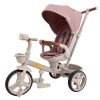 Велосипед 3-х колісний Tilly Flash T-3812 Pink