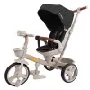 Велосипед 3-х колісний Tilly Flash T-3812 Dark Grey