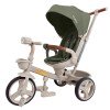 Велосипед 3-х колісний Tilly Flash T-3812 Green