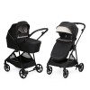 Коляска універсальна 2в1 Chicco Seety 87097.07.01